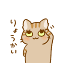 こねこーず こうてい（個別スタンプ：24）