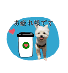 ポメプーのノア君（個別スタンプ：3）