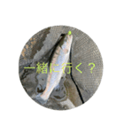 fishing20スタンプ（個別スタンプ：16）