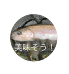 fishing20スタンプ（個別スタンプ：34）