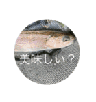 fishing20スタンプ（個別スタンプ：35）