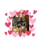 イケメン猫とぽかぽか犬。（個別スタンプ：4）