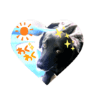 イケメン猫とぽかぽか犬。（個別スタンプ：14）