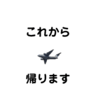 飛行機で会話 ～日常編～（個別スタンプ：8）