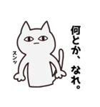 割と情緒が豊かなぬこねこ（個別スタンプ：11）