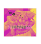 ポエム調(独特・個性的)写真スタンプ（個別スタンプ：17）