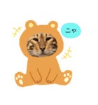 アメショとベンガル2（個別スタンプ：4）