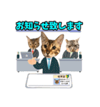 アメショとベンガル2（個別スタンプ：18）