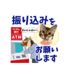 アメショとベンガル2（個別スタンプ：24）