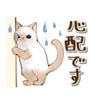 でか文字日常猫スタンプ♡気遣い編（個別スタンプ：17）