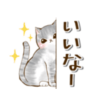 でか文字日常猫スタンプ♡気遣い編（個別スタンプ：24）