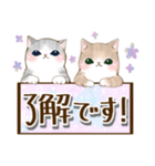 でか文字日常猫スタンプ♡気遣い編（個別スタンプ：37）