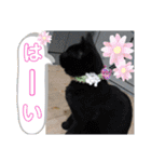 可愛い動物しかいない（個別スタンプ：12）