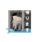 可愛い動物しかいない（個別スタンプ：28）