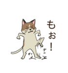 猫クロちゃんの推し活（個別スタンプ：33）