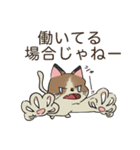 猫クロちゃんの推し活（個別スタンプ：39）