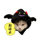 オラねこさなるだ（個別スタンプ：1）