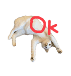 オラねこさなるだ（個別スタンプ：7）