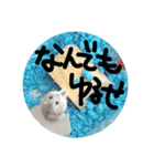 はんぺん3（個別スタンプ：1）