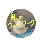 はんぺん3（個別スタンプ：6）