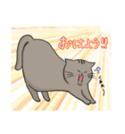 猫殿スタンプその1（個別スタンプ：1）
