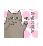 猫殿スタンプその1（個別スタンプ：4）
