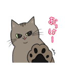 猫殿スタンプその1（個別スタンプ：11）