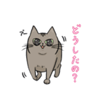 猫殿スタンプその1（個別スタンプ：14）