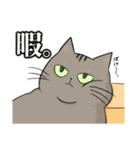 猫殿スタンプその1（個別スタンプ：15）