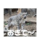 動物園の写真スタンプ図鑑（個別スタンプ：22）