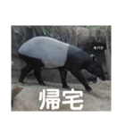 動物園の写真スタンプ図鑑（個別スタンプ：34）