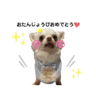 保護犬マロンのスタンプ2（個別スタンプ：23）