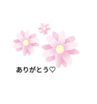 ℃-uteお花スタンプ（個別スタンプ：1）