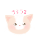 子猫のしふぉん（個別スタンプ：10）