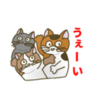 【野良猫管弦楽団】ファゴット編（個別スタンプ：12）