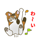 【野良猫管弦楽団】ファゴット編（個別スタンプ：23）