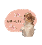 レオルイ スタンプ（個別スタンプ：8）