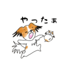 パピヨンとハムスターの日常覗き（個別スタンプ：6）