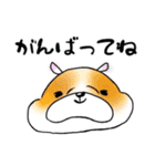 パピヨンとハムスターの日常覗き（個別スタンプ：13）