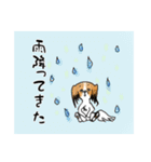 パピヨンとハムスターの日常覗き（個別スタンプ：14）
