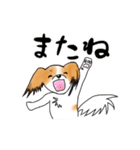 パピヨンとハムスターの日常覗き（個別スタンプ：15）
