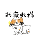 パピヨンとハムスターの日常覗き（個別スタンプ：16）