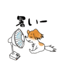 パピヨンとハムスターの日常覗き（個別スタンプ：18）