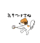 パピヨンとハムスターの日常覗き（個別スタンプ：22）