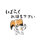 パピヨンとハムスターの日常覗き（個別スタンプ：23）