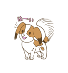 コーイケルホンディエ①♡Yusha Kennel（個別スタンプ：1）