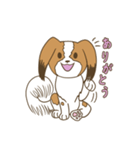 コーイケルホンディエ①♡Yusha Kennel（個別スタンプ：2）
