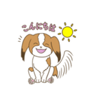 コーイケルホンディエ①♡Yusha Kennel（個別スタンプ：3）