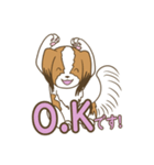 コーイケルホンディエ①♡Yusha Kennel（個別スタンプ：4）