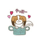 コーイケルホンディエ①♡Yusha Kennel（個別スタンプ：5）